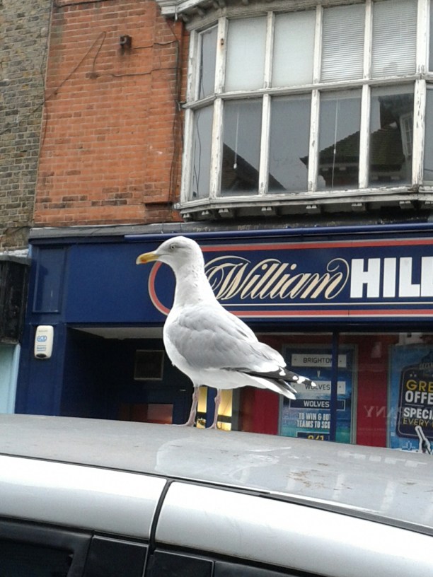 20160101_140541.jpg image